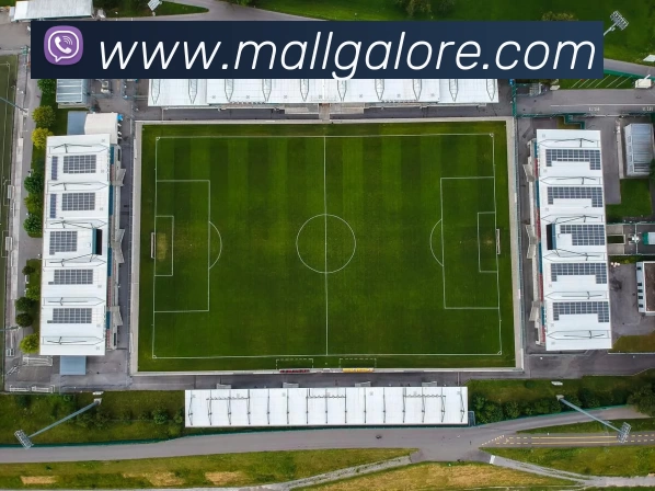 未来规划